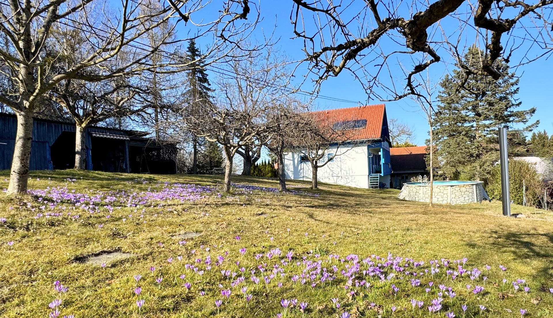 Idyllischer Platz inkl. Pferdeboxen